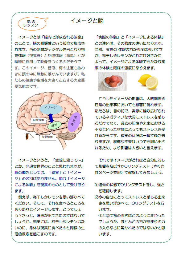 イメージと脳