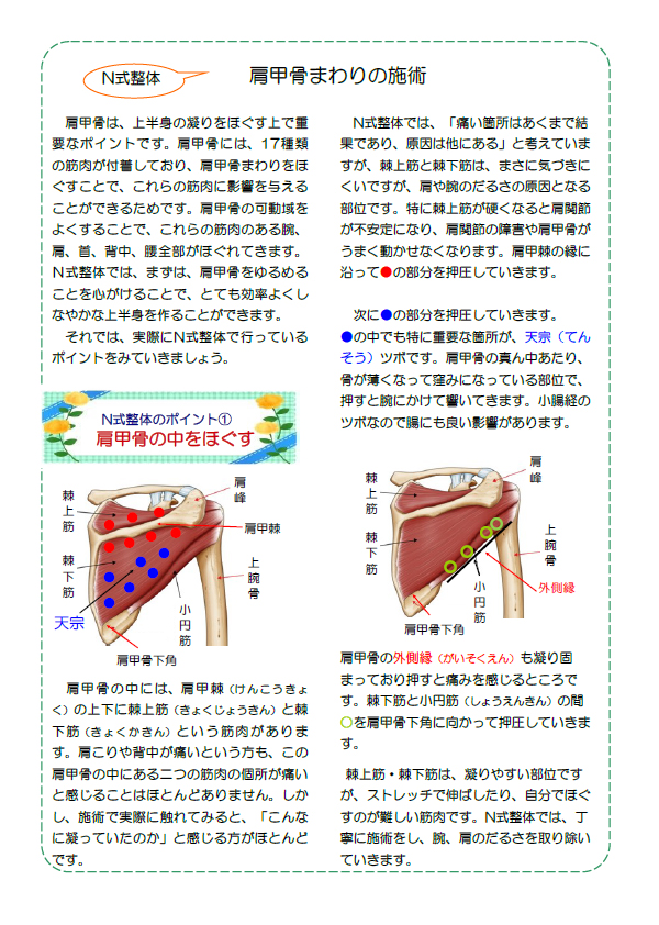 N式整体 肩甲骨まわりの施術